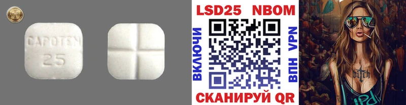 МЕГА сайт  Чекалин  LSD-25 экстази кислота  где найти наркотики 